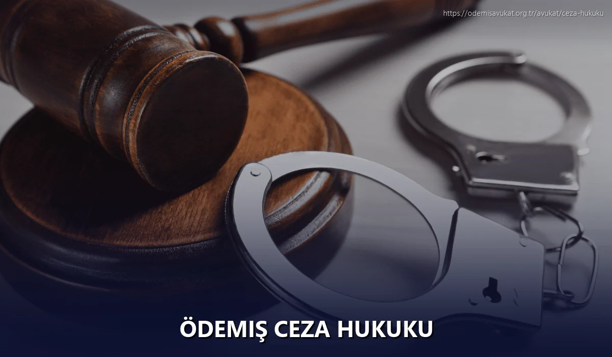 Ödemiş Ceza Hukuku